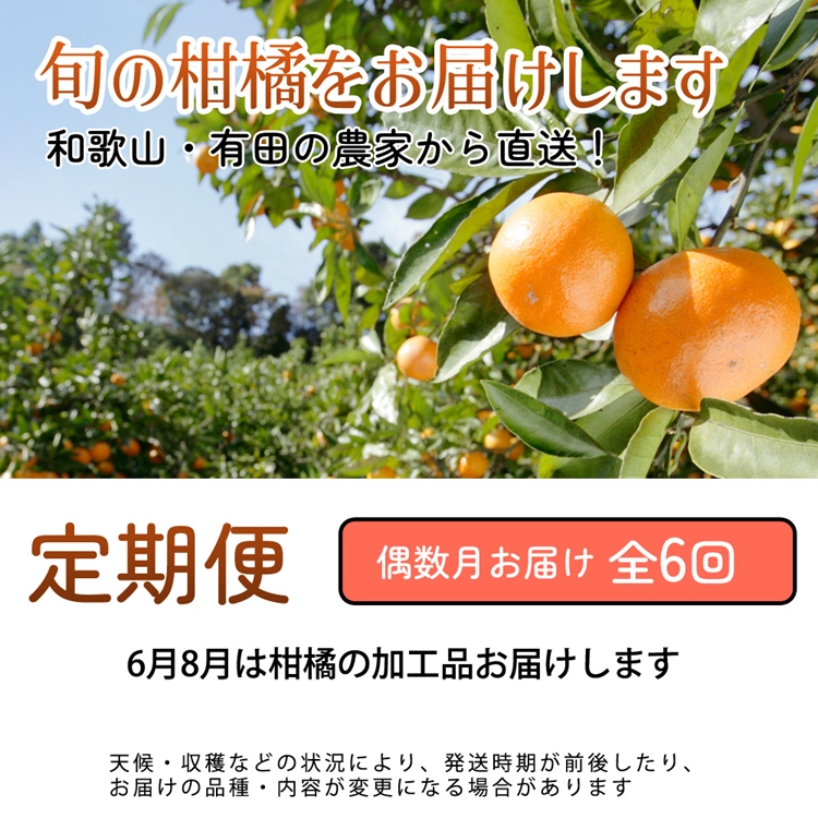 【定期便】家庭用 柑橘定期便 S 6回（偶数月）※北海道・沖