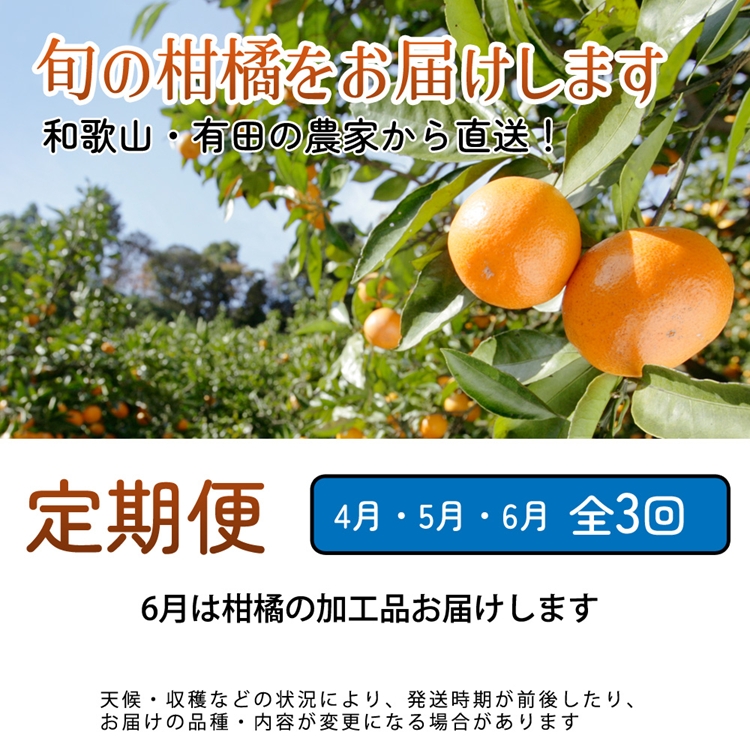 【定期便】厳選 柑橘定期便 M 3回（4～6月）※北海道・沖縄