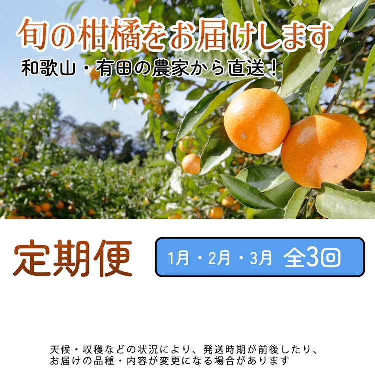 【定期便】家庭用 柑橘定期便 M 3回（1～3月）※北海道・沖