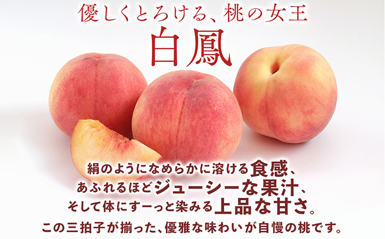 桃先行受付!　桃の王様【白鳳】　特秀品　食べきりやすい3