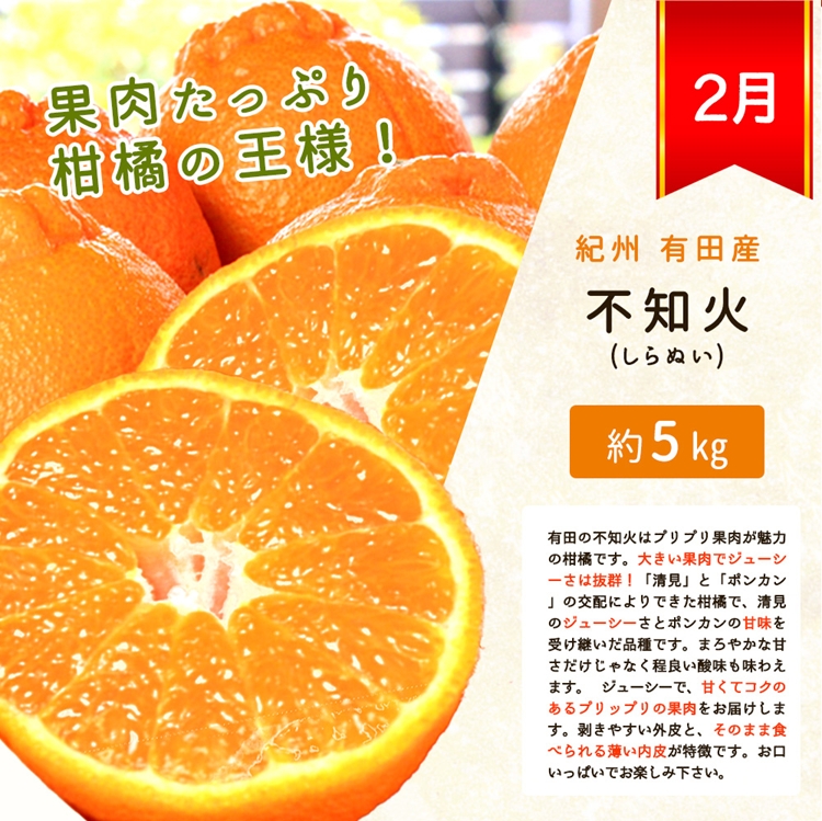 〈定期便〉【2・7・10月 全3回】紀州和歌山産旬のフルーツ