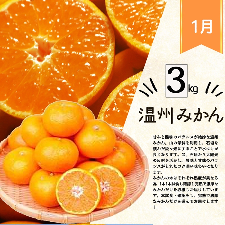 〈定期便〉【1・2・3・4月 全4回】紀州和歌山産旬の柑橘セ