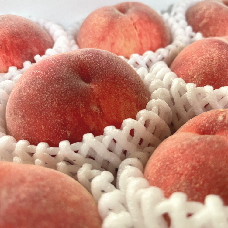 【2026年先行予約】【夏の美味】フルーツ王国 和歌山の桃 4