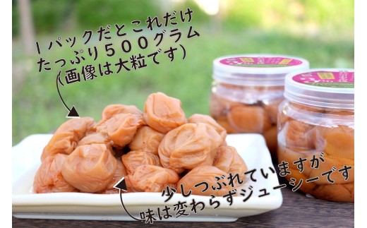 訳あり 無添加 梅干し 紀州梅香の減塩3%つぶれ梅 約1kg(500g x 