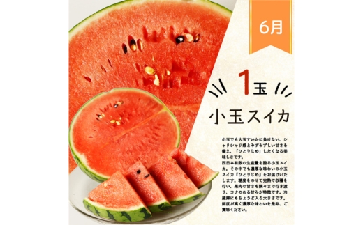 全3回 フルーツ定期便（すいか 6月、桃 7月、梨 8月発送） 