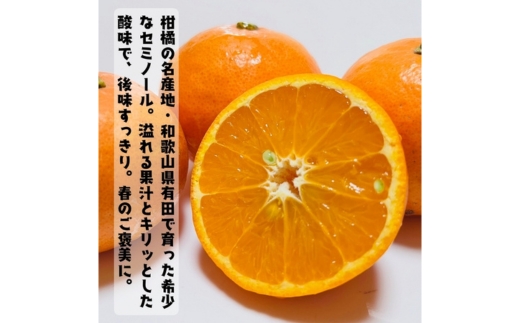 【特撰】セミノール 3kg ｜ みかん 高級 くだもの 晩柑 柑橘 