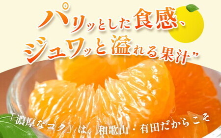 ＜1月より発送＞厳選 はっさく10kg+250g（傷み補償分） ｜ 八