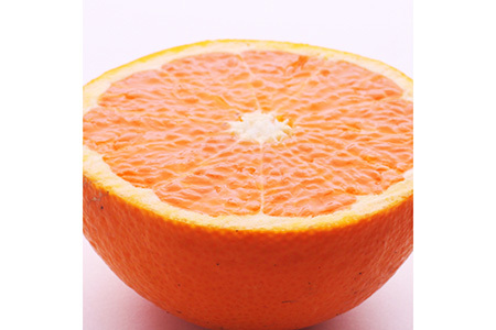 ＜2月より発送＞厳選 清見オレンジ7.5kg+250g（傷み補償分）