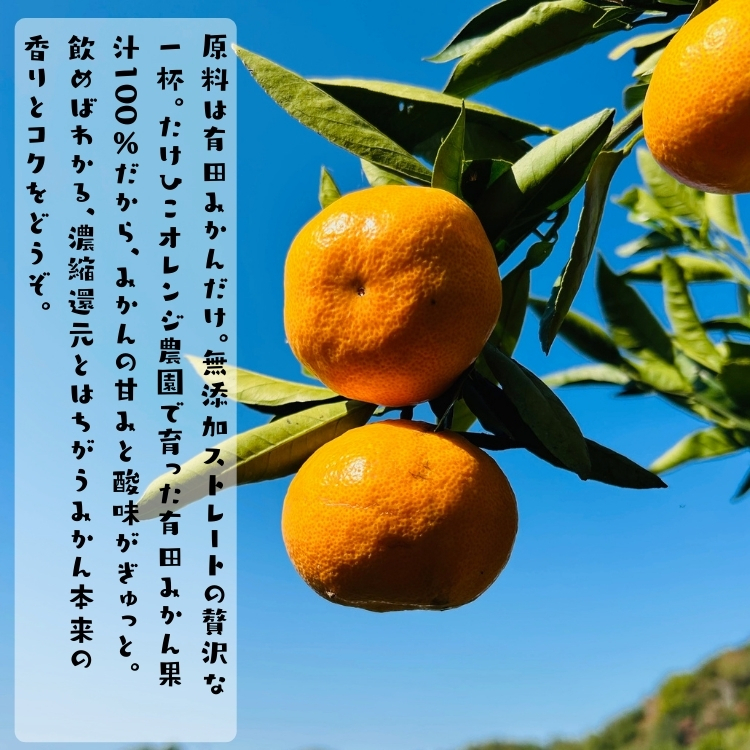 有田 みかん 100％の ジュース 1,000ml×3本