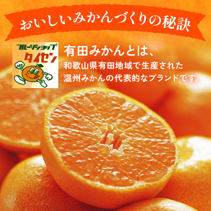 【ご家庭用】和歌山有田みかん約10kg(2L、3Lサイズ)〇 ※2025