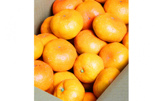 【先行予約】紀州有田産濃厚甘熟温州みかん5kg
