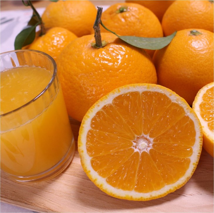 和歌山県有田産 完熟清見オレンジ 5kg（M～2Lサイズおまかせ