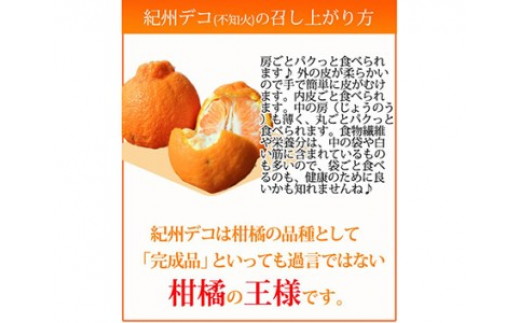 果肉プリプリ♪　完熟紀州デコ(不知火) 約5kg ｜ 柑橘 不知