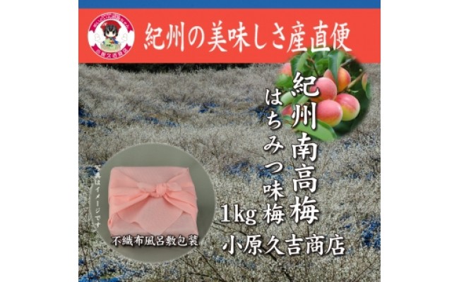 ［無地のし付］紀州南高梅はちみつ味1kg（ピンク色不織布