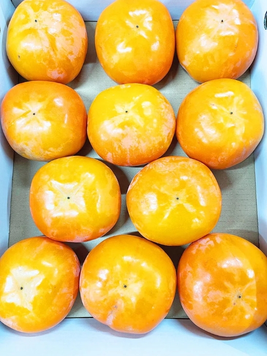 【2026年先行予約】【ご家庭用訳あり】 和歌山秋の味覚 平