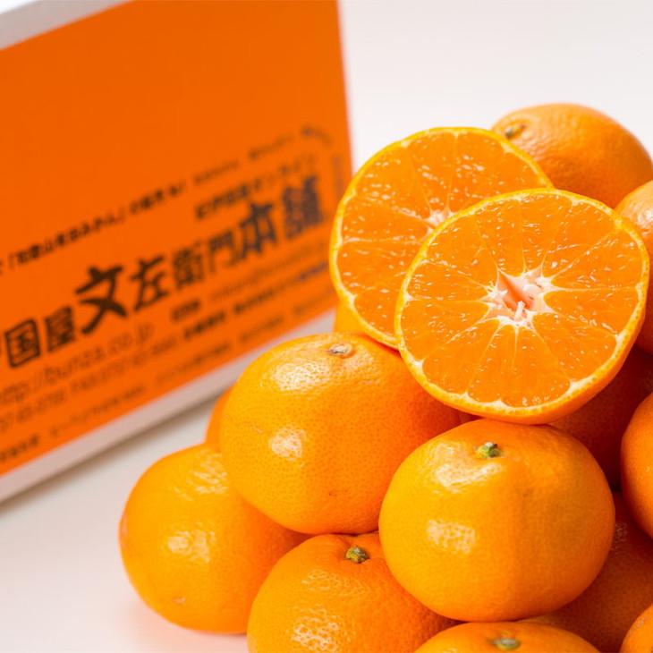 田村みかん/特選ギフト品3kg【サイズおまかせ】赤秀/湯浅町