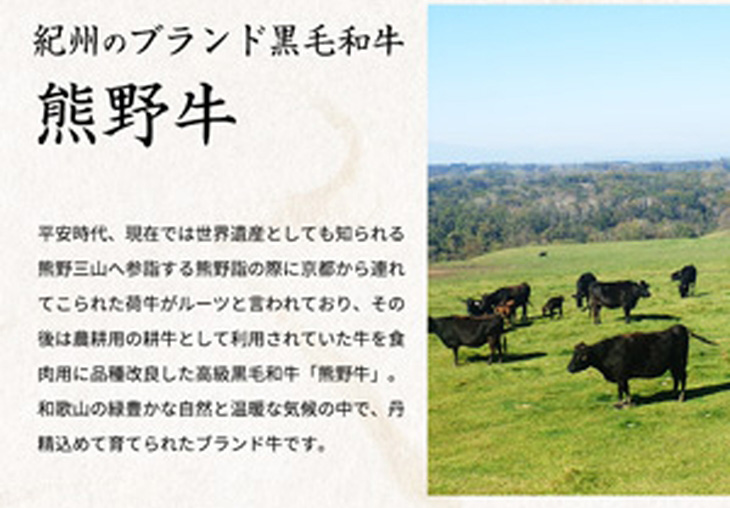 熊野牛A4以上ヒレシャトーブリアンステーキ200g(100g×2枚)＆