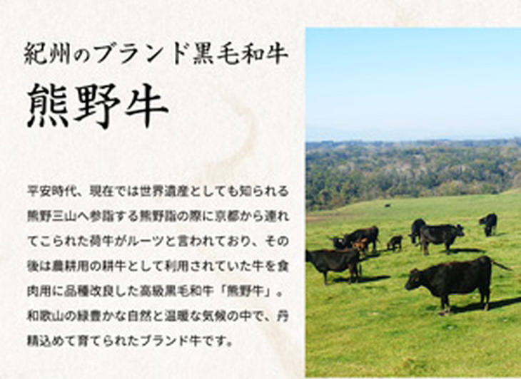 熊野牛 A4以上 霜降り 肩ロース スライス 500g｜牛肉 厳選 高