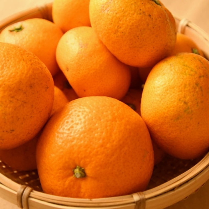 ［訳あり］和歌山有田みかん約5kg（S～Lサイズいずれかお届