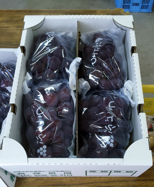 和歌山県産 ピオーネ 4房入り | 産地直送 ブドウ ぶどう 果