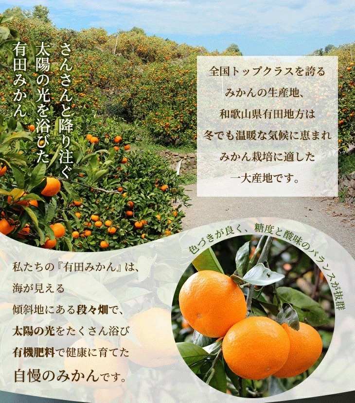 〈10月より発送〉ゆら早生 プレミアム有田みかん 1kg+250g（