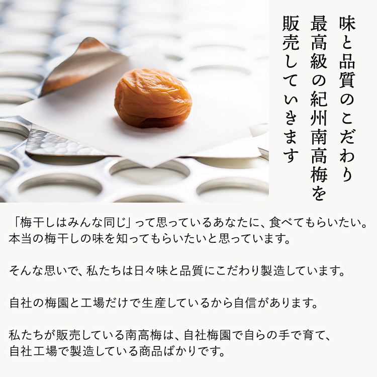 【贈答用】紀州南高梅　しそ風味梅干　400g　化粧箱入 | ギ