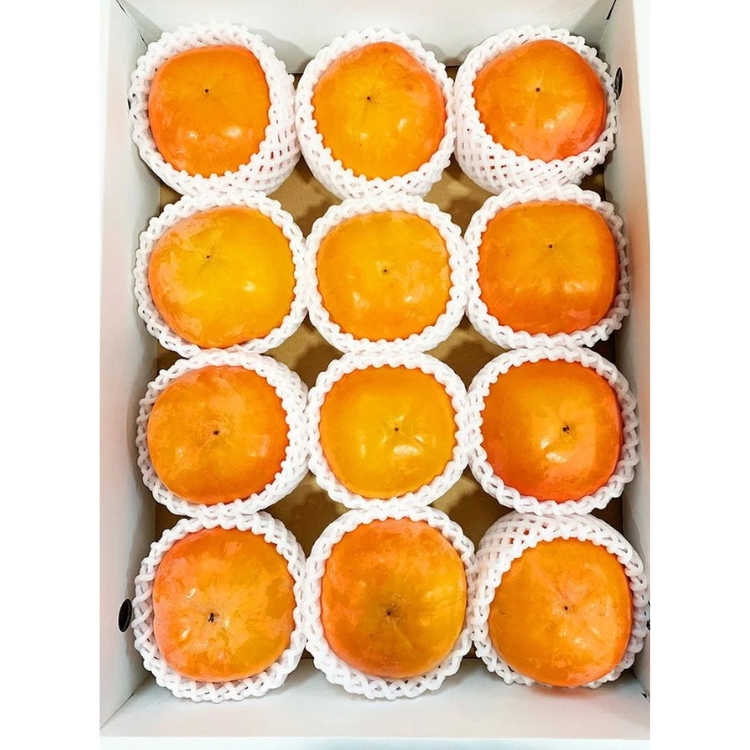 【2026年先行予約】和歌山秋の味覚 平核無柿（ひらたねなし