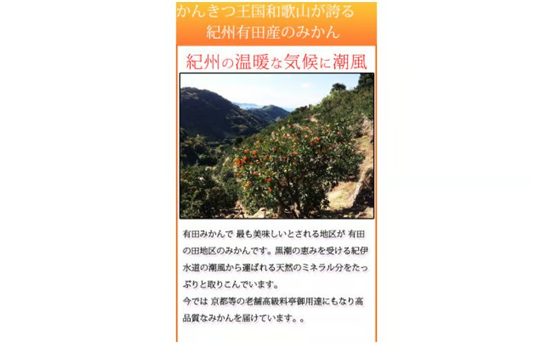 【先行予約】【ご家庭用訳あり】田村みかん ５ｋｇ◇｜ 有