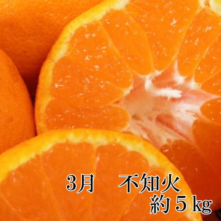 【定期便】有田の人気の旬のフルーツ柑橘定期便全3回
※