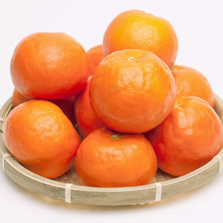 ＜4月より発送＞厳選 セミノールオレンジ1kg+250g（傷み補償