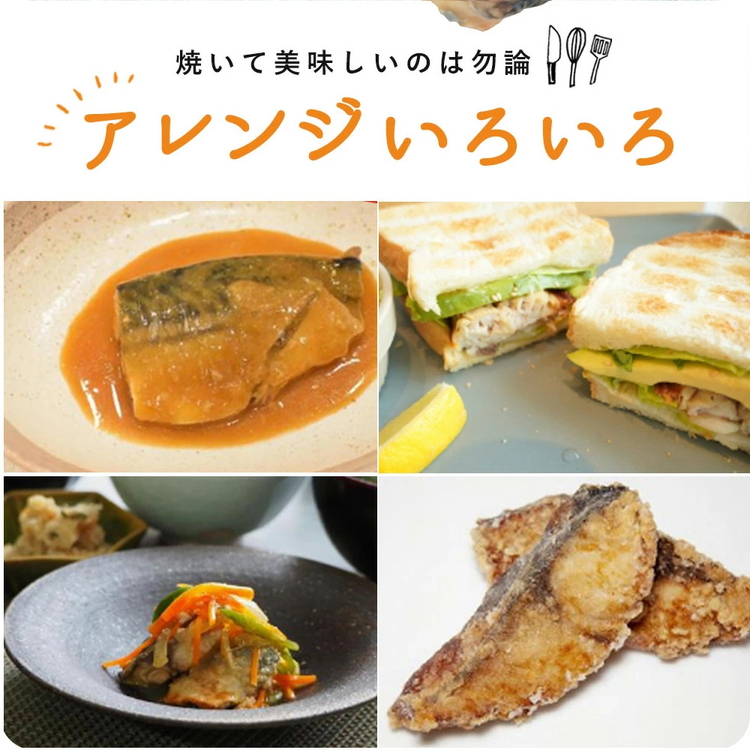 【ご家庭用　訳あり】無添加　塩さばフィレ　1kg
※着日指