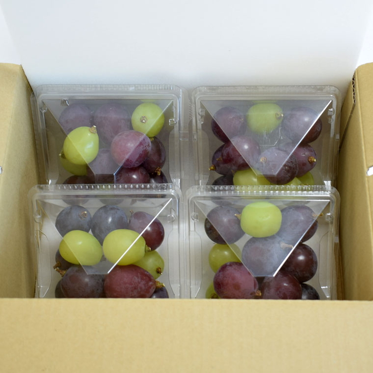 【数量限定】ピオーネと翠峰の夏のおまかせセット約200g×4