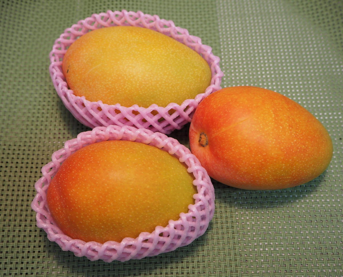 紀州美浜みさきマンゴー2～3玉（1.2～1.3kg）
※離島への配