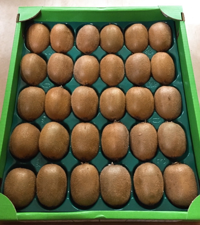 和歌山産 キウイフルーツ M～4Lサイズ 約3.6kg 秀品 ※2026年1