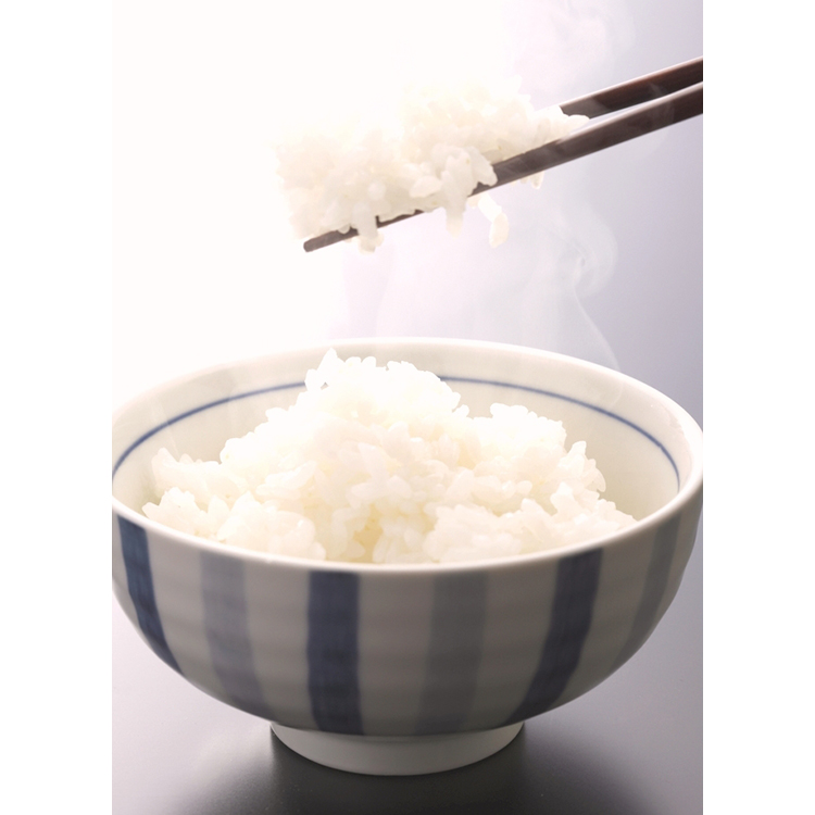 【先行予約】和歌山県産キヌヒカリ 10kg(2025年産) ｜米 コメ 