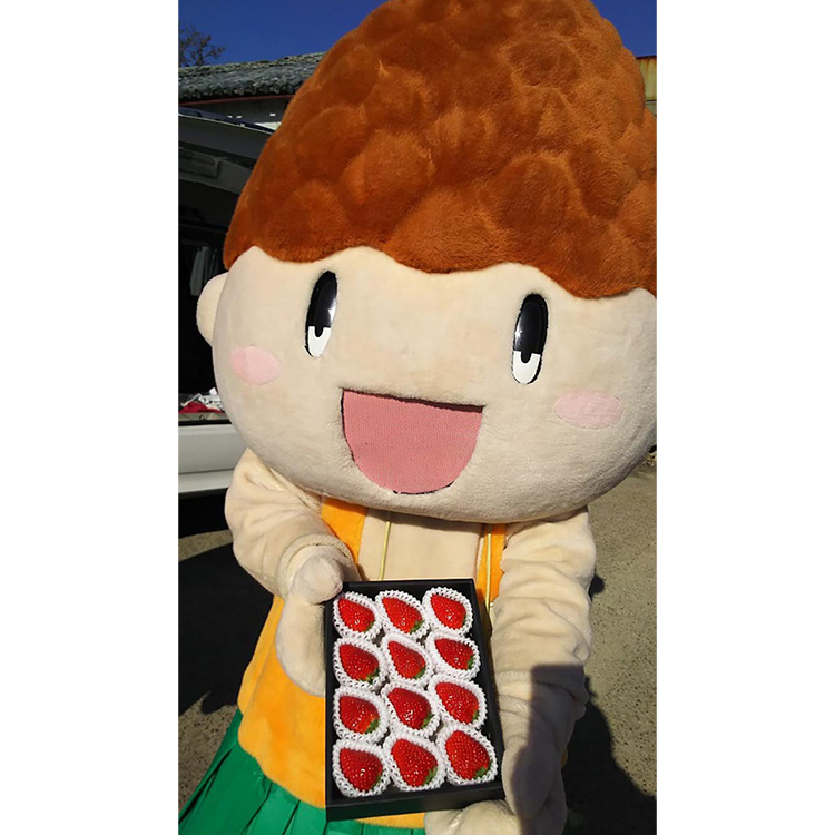 はないちご農園「まりひめデラックス」
※着日指定不可
