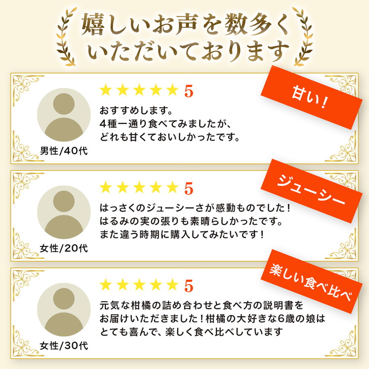 ＜1月より発送＞家庭用 柑橘詰合せ2.5kg+250g（傷み補償分）