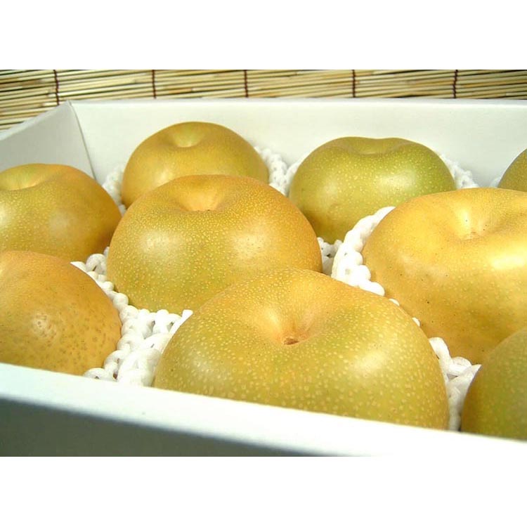 和歌山の梨（なし）豊水品種 [約4kg]【秀品：サイズおまか