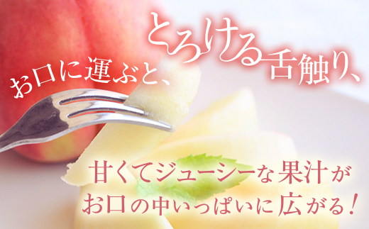 【産直・人気の特産品】和歌山の桃　3玉入り※着日指定不