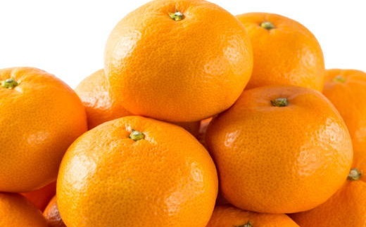 エコファーマーのこだわり有田みかん約10kg(サイズ混合)◇
