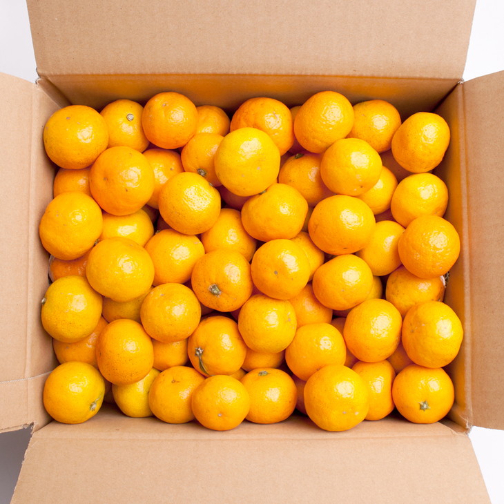 家庭用 小玉な有田みかん2.5kg+250g（傷み補償分）【わけあり