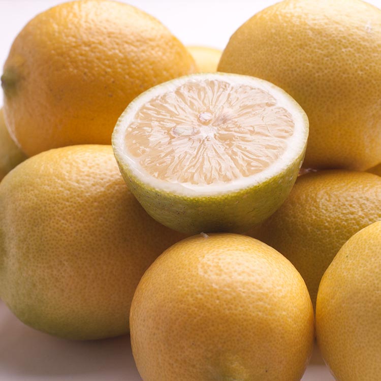 ＜9月より発送＞レモン5kg+250g（傷み補償分）【和歌山有田