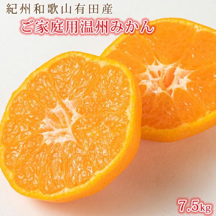 〈定期便〉【10・11・12月 全3回】和歌山産 みかんと柿のお