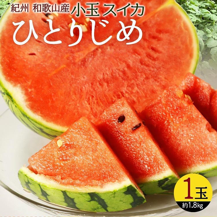 〈定期便〉【2・4・6・8・10・12月 全6回】和歌山産 旬のフル