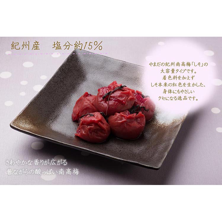 【定期便/3か月ごと/全3回】紀州南高梅しそ漬つぶれ（塩分