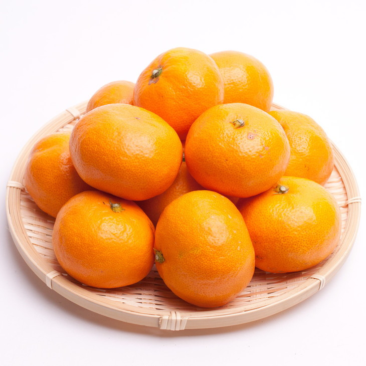 〈11月より発送〉完熟 プレミアム有田みかん 1kg+250g（傷み