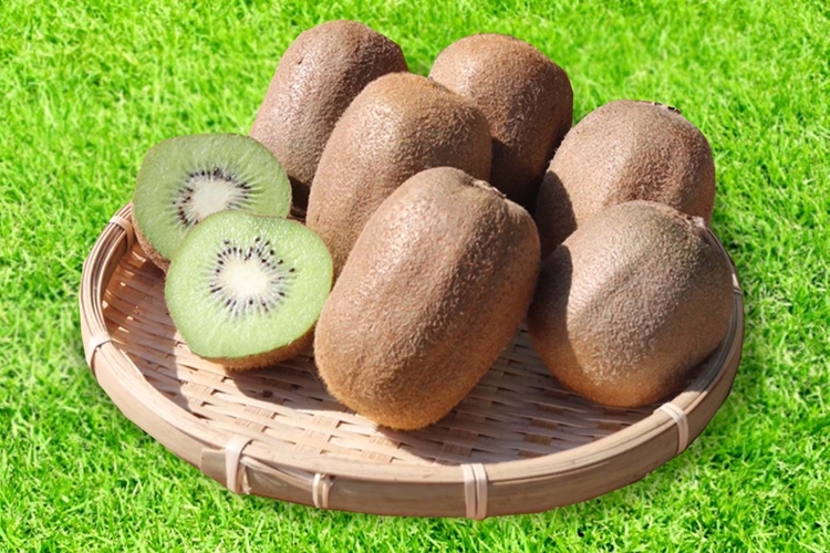 【まごころ手選別】和歌山産　キウイフルーツ　約3.6kg(サ