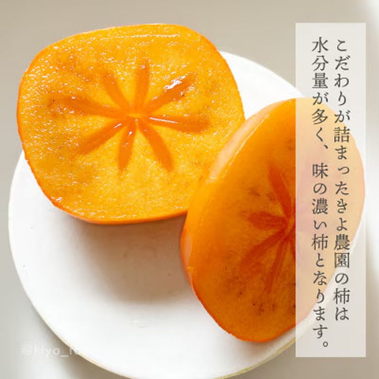 先行受付　柿(種無し)　赤秀品大玉　6個入　約1.8kg ※2025年9