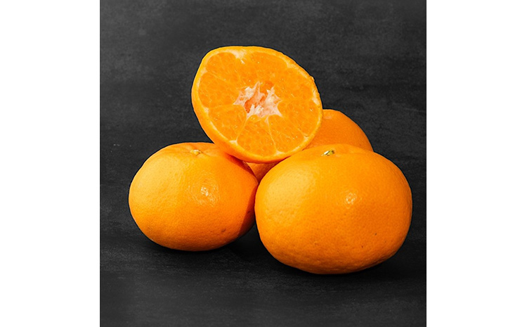 【まごころ手選別】和歌山産　有田のはるみ　8～11玉 ※2026