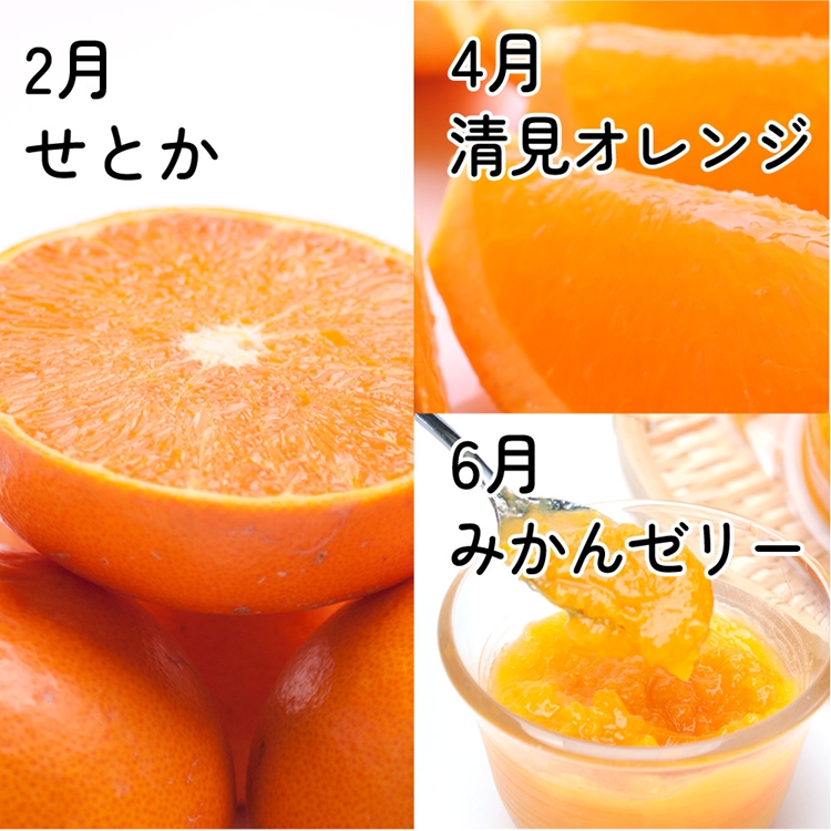【定期便】家庭用 柑橘定期便 S 6回（偶数月）※北海道・沖